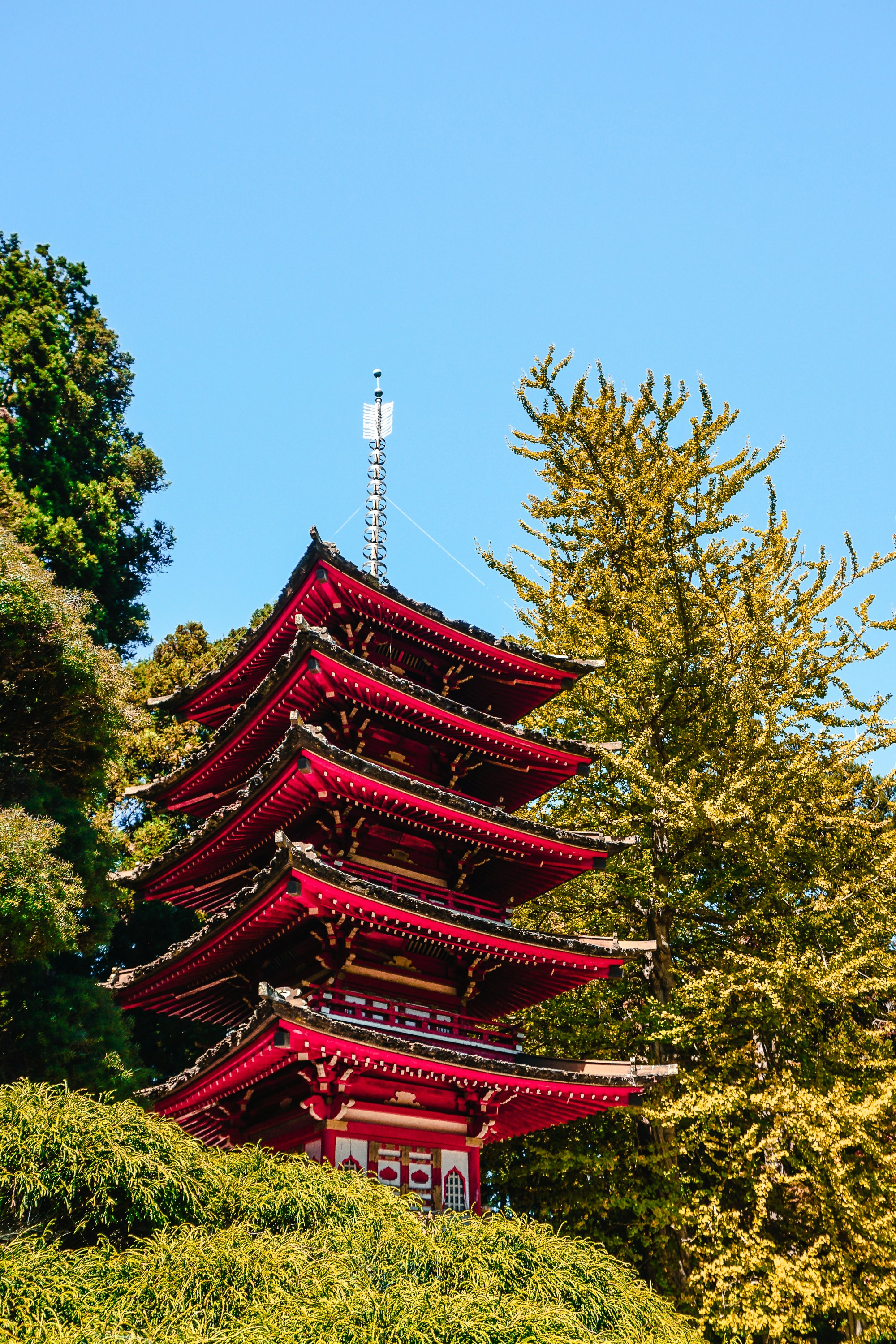 Japan Av Picture